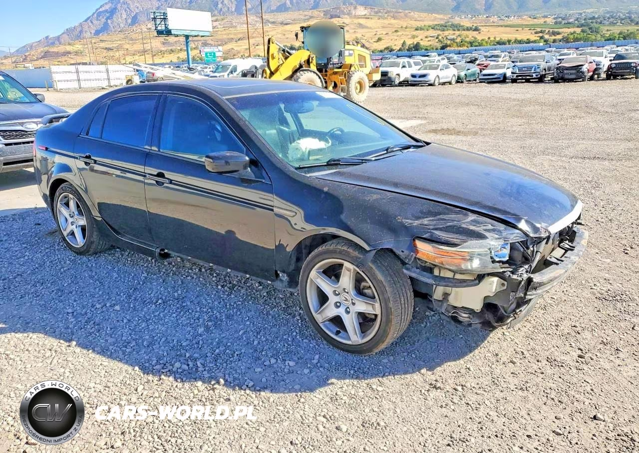 2004 Acura Tl VIN:19UUA66244A070337 - 4