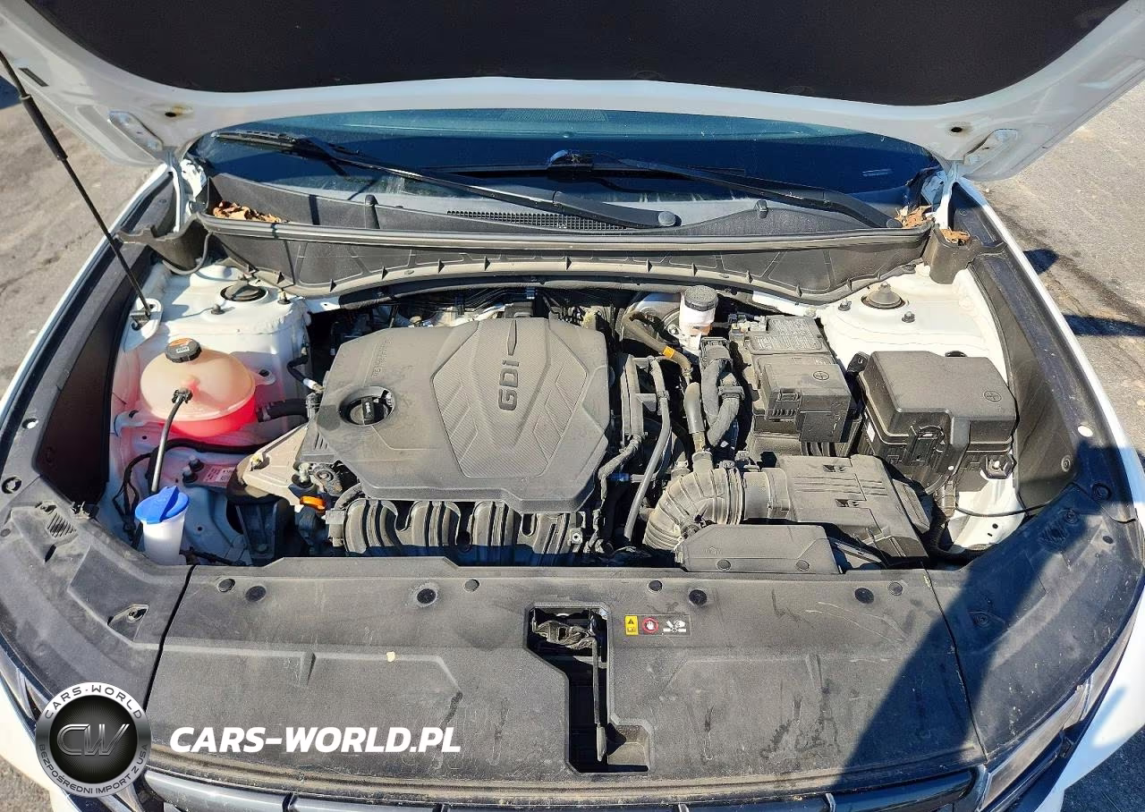 2023 Hyundai Tucson Sel VIN:5NMJBCAE5PH195937 - 12
