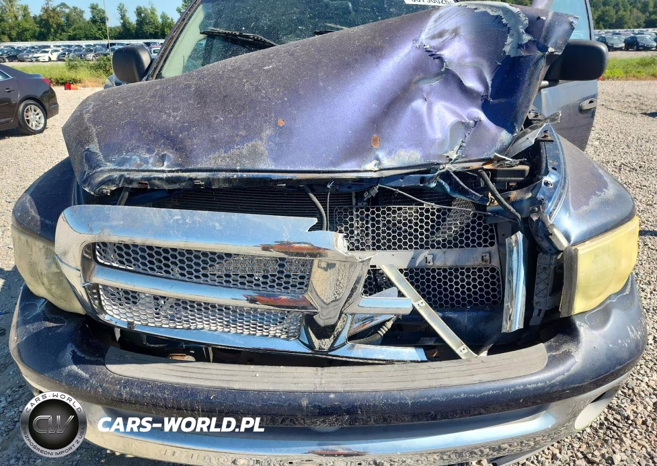 2002 Dodge Ram 1500 VIN:3D7HU18NX2G181822 - 11