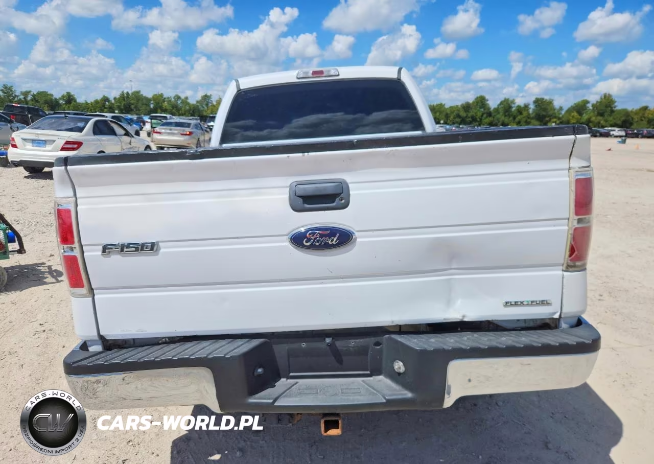 2014 Ford F-150 Xl VIN:1FTFX1CF9EKG51442 - 6
