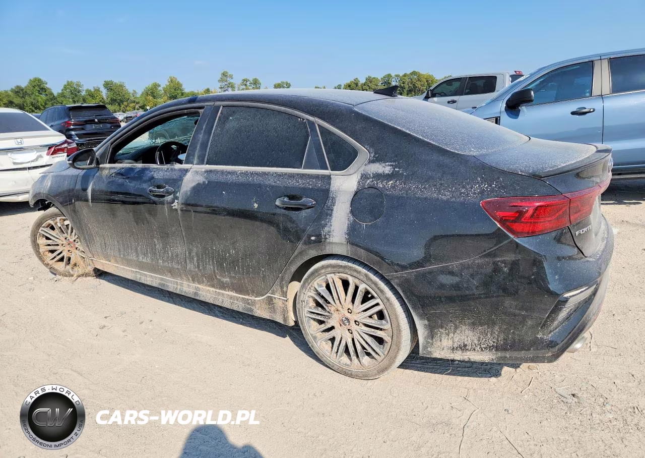 2020 Kia Forte Gt VIN:3KPF44AC3LE238340 - 2