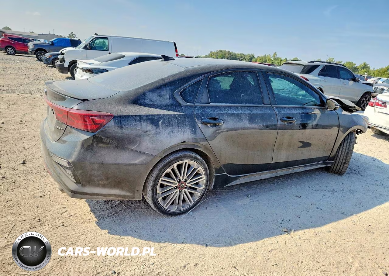 2020 Kia Forte Gt VIN:3KPF44AC3LE238340 - 3