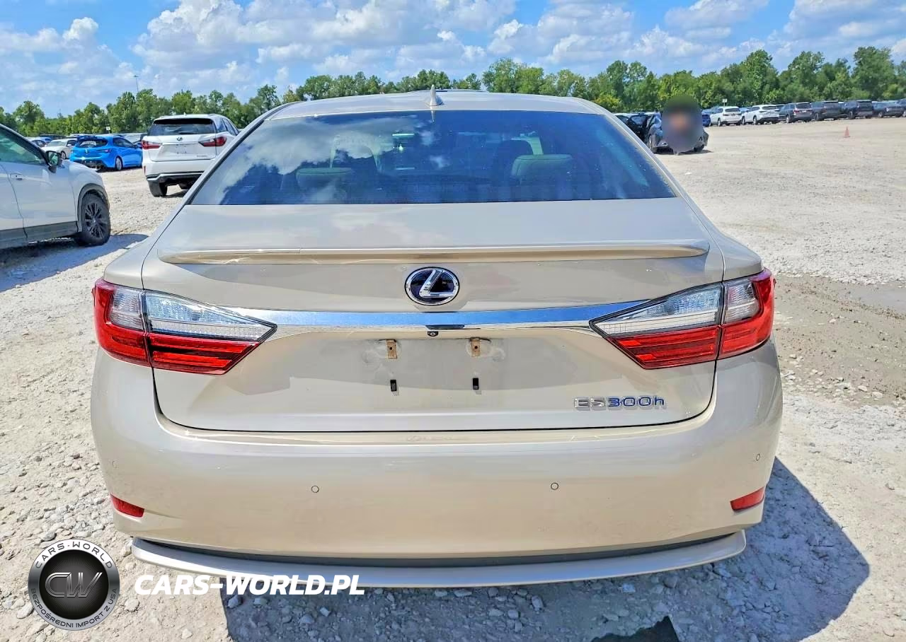 2017 Lexus Es 300H VIN:JTHBW1GG6H2143694 - 6