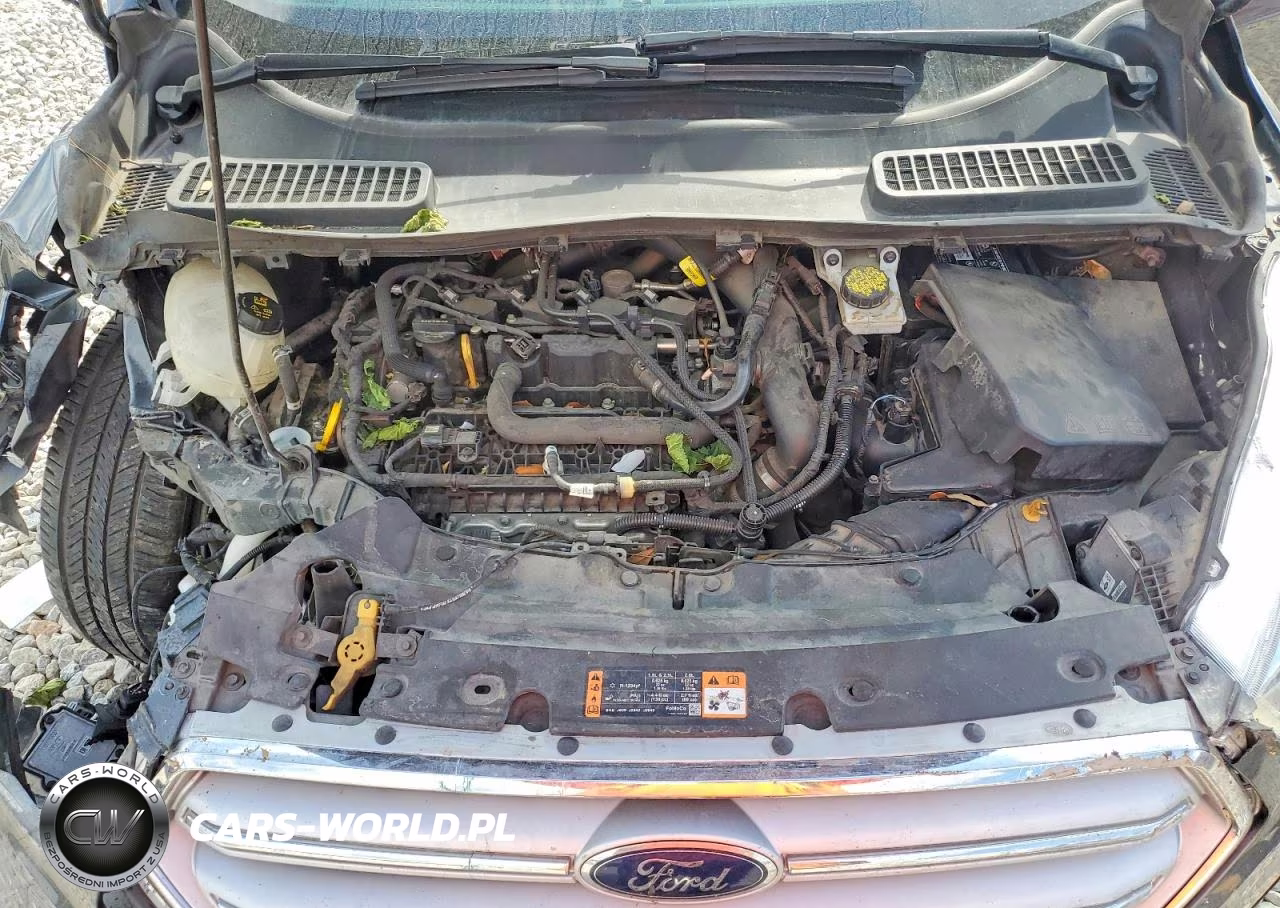 2019 Ford Escape Sel VIN:1FMCU0HD4KUA99907 - 12