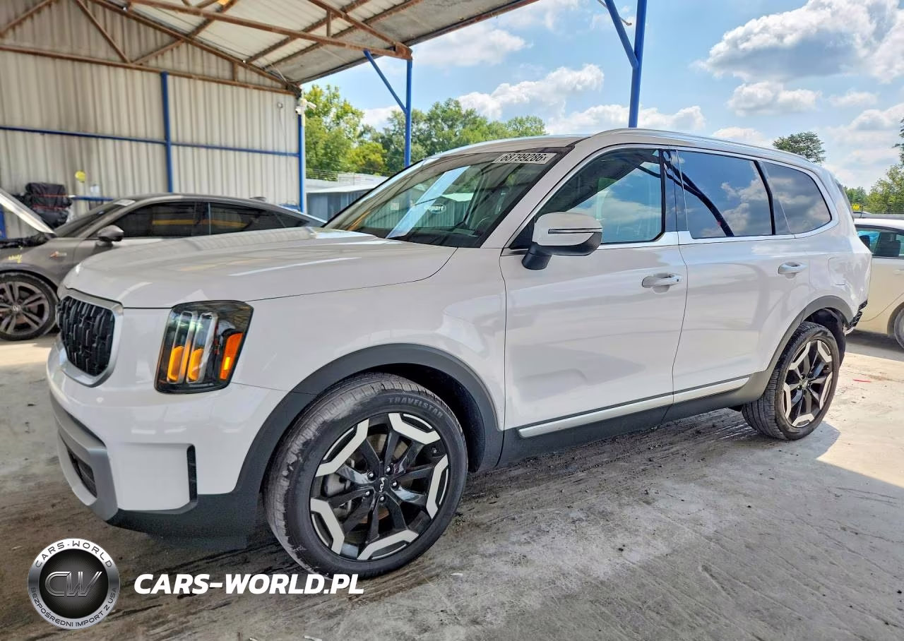 2024 Kia Telluride Ex VIN:5XYP34GC2RG446803 - 1