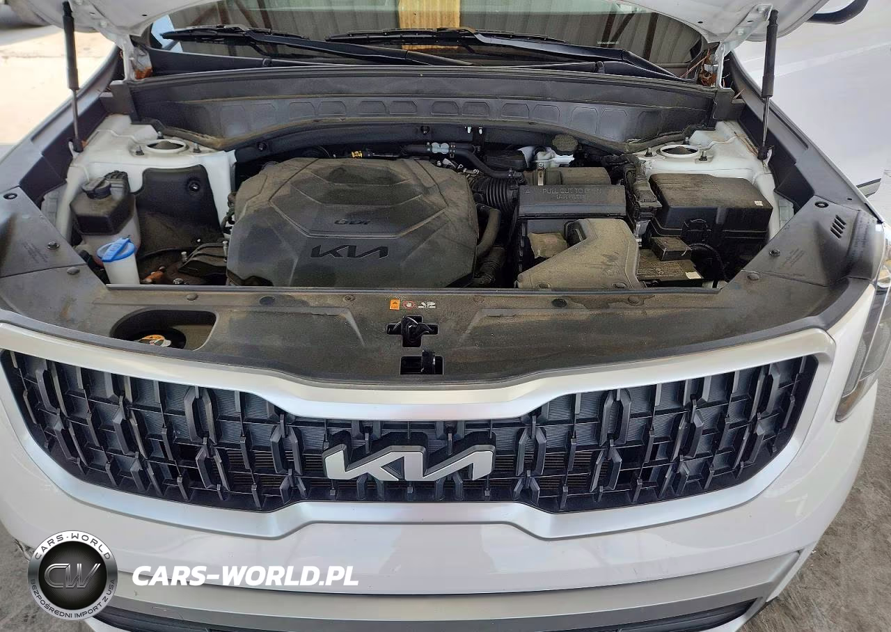 2024 Kia Telluride Ex VIN:5XYP34GC2RG446803 - 11