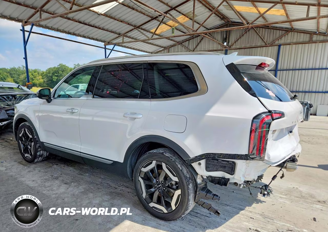 2024 Kia Telluride Ex VIN:5XYP34GC2RG446803 - 2
