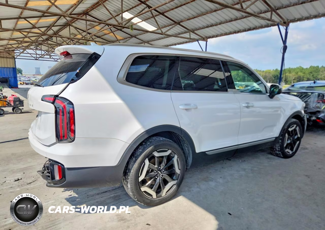 2024 Kia Telluride Ex VIN:5XYP34GC2RG446803 - 3