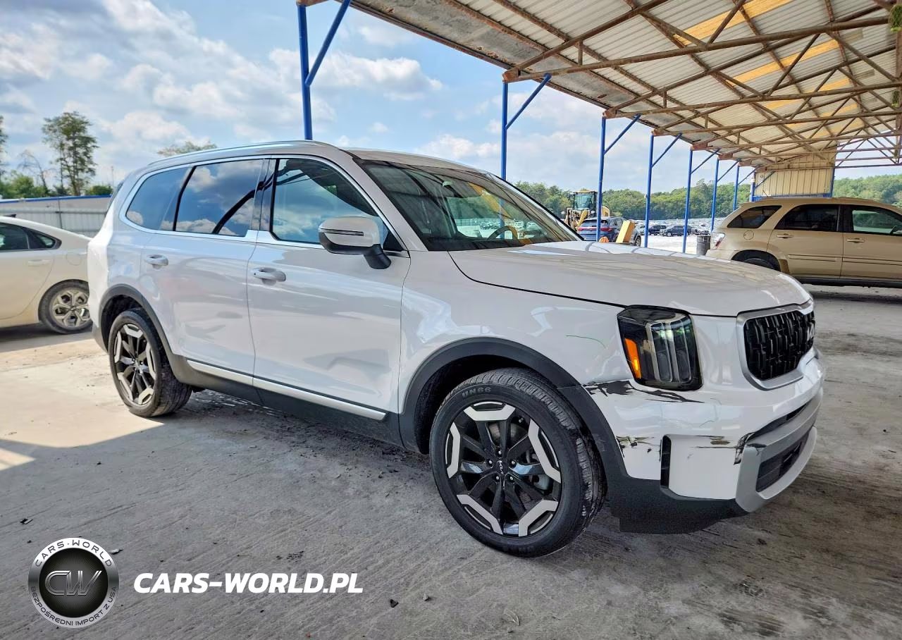 2024 Kia Telluride Ex VIN:5XYP34GC2RG446803 - 4