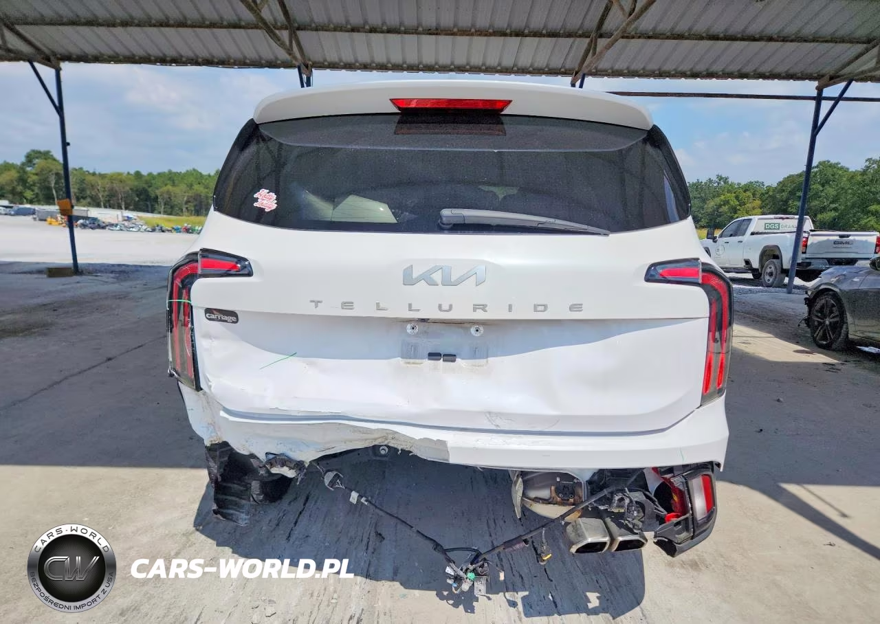 2024 Kia Telluride Ex VIN:5XYP34GC2RG446803 - 6