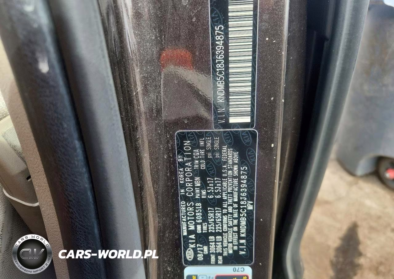 2018 Kia Sedona Lx VIN:KNDMB5C18J6394875 - 13