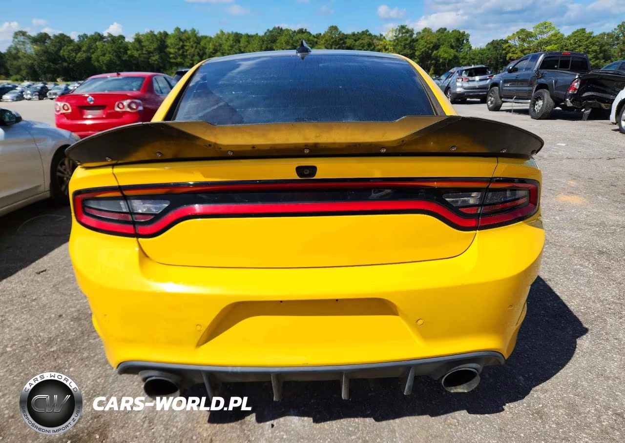 2017 Dodge Charger R-T 392 VIN:2C3CDXGJ4HH618782 - 6