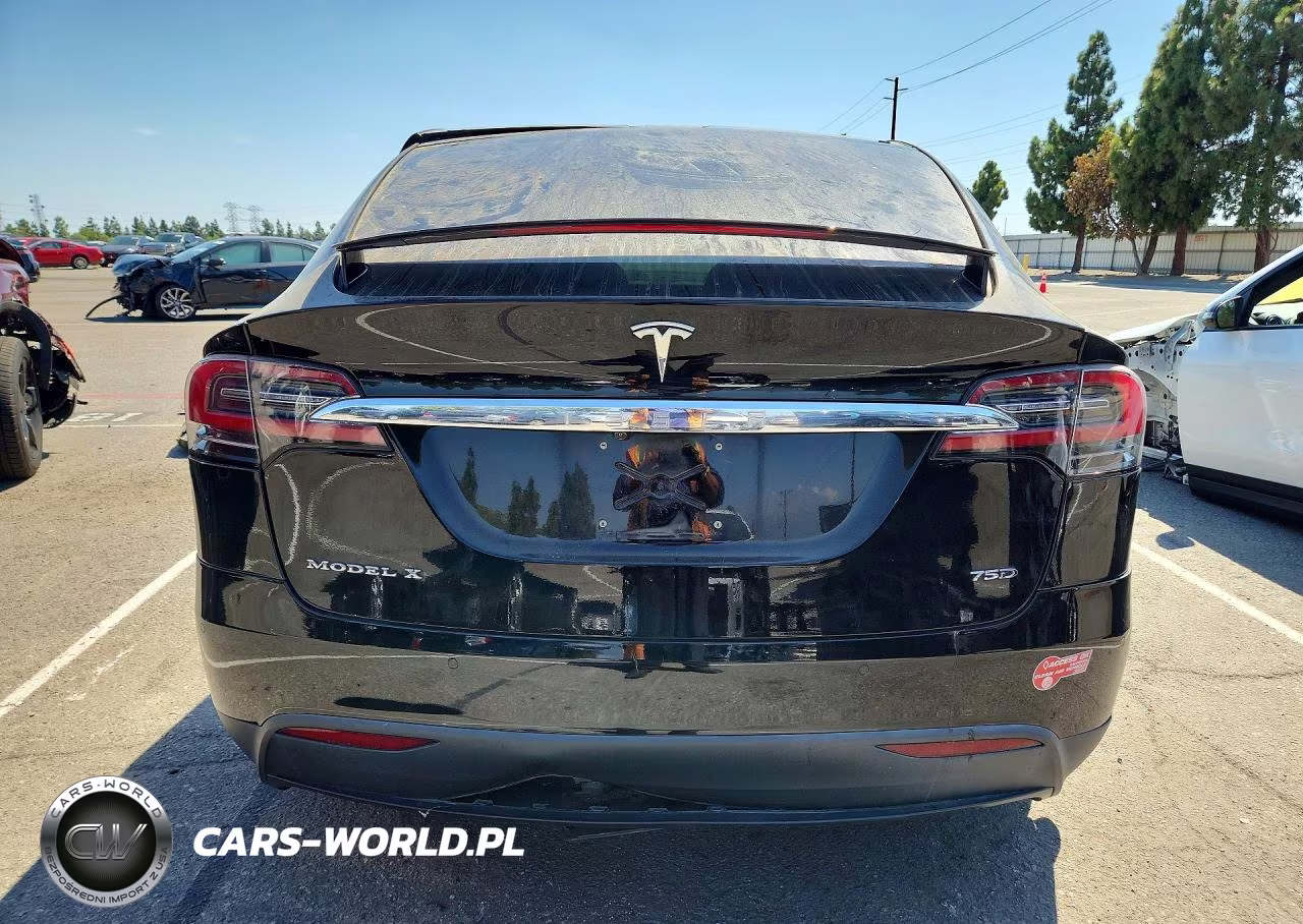 2018 Tesla Model X VIN:5YJXCBE26JF116009 - 6
