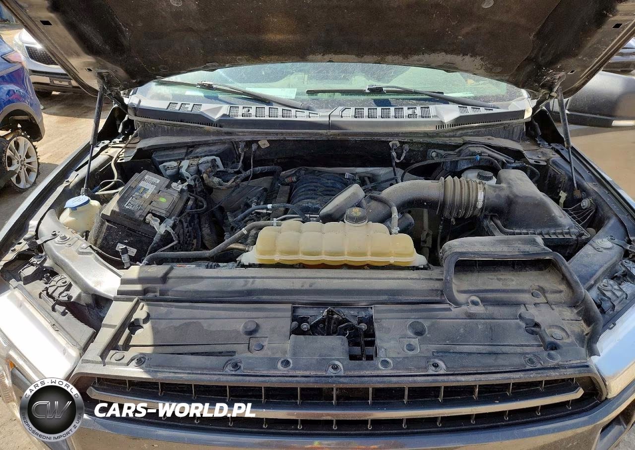 2019 Ford F150 Supercrew VIN:1FTEW1E53KFD22744 - 11