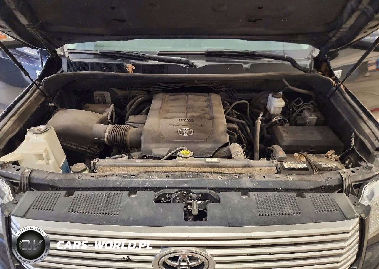 2017 Toyota Tundra Platinum VIN:5TFAW5F12HX627883 - 11