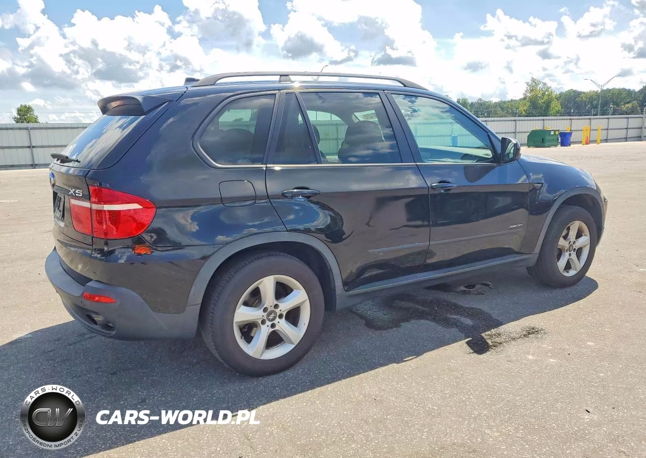 2009 BMW X5 xDrive30I VIN:5UXFE43529L263823 - 3