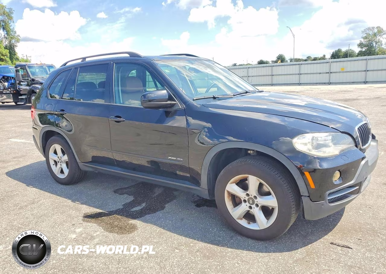 2009 BMW X5 xDrive30I VIN:5UXFE43529L263823 - 4
