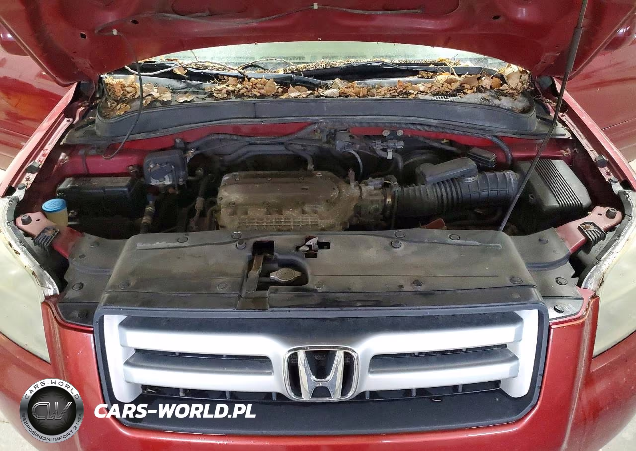 2006 Honda Pilot Ex VIN:2HKYF18426H523174 - 12