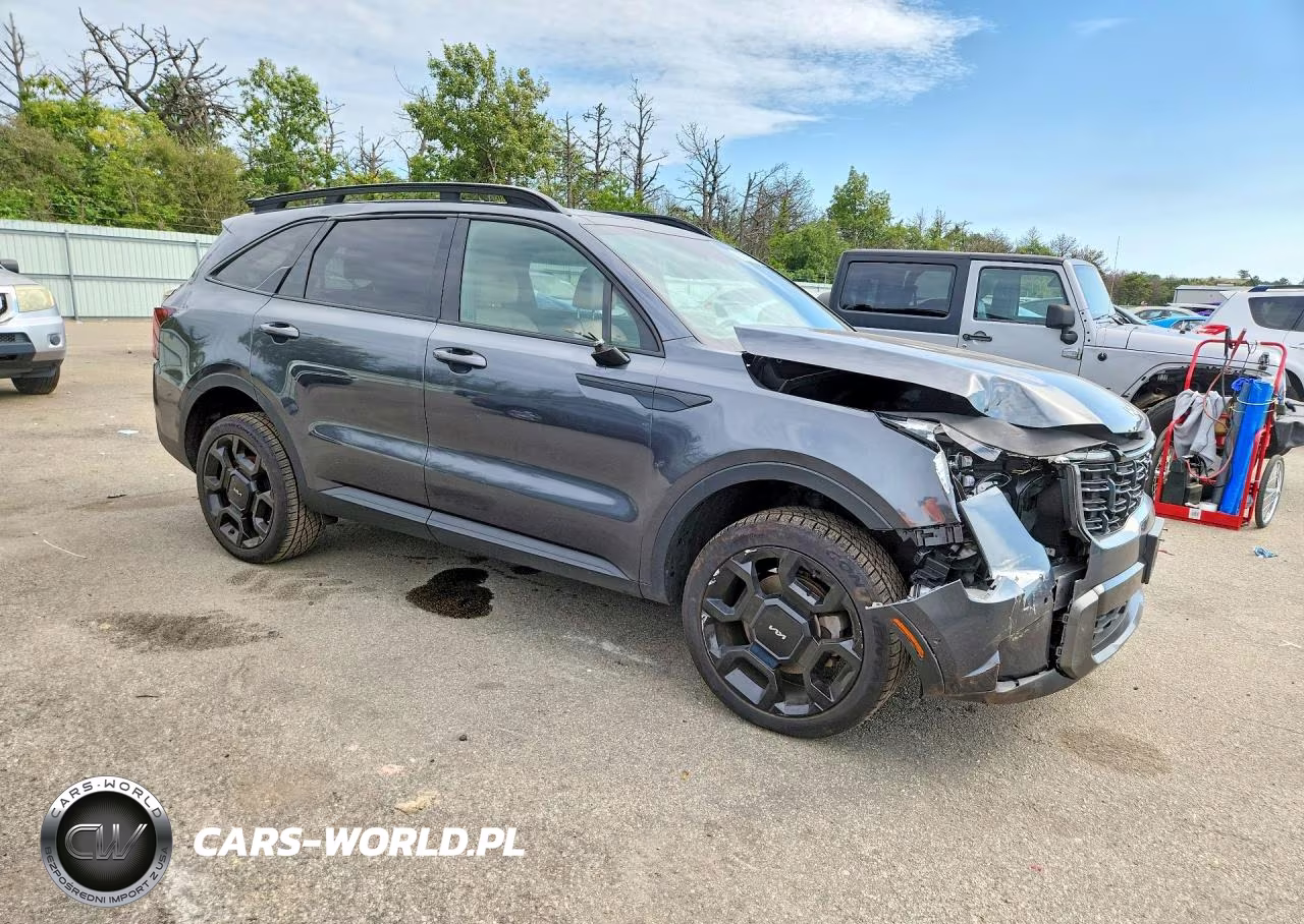 2024 Kia Sorento X-Line Sx Prestige VIN:5XYRKDJF0RG293207 - 4