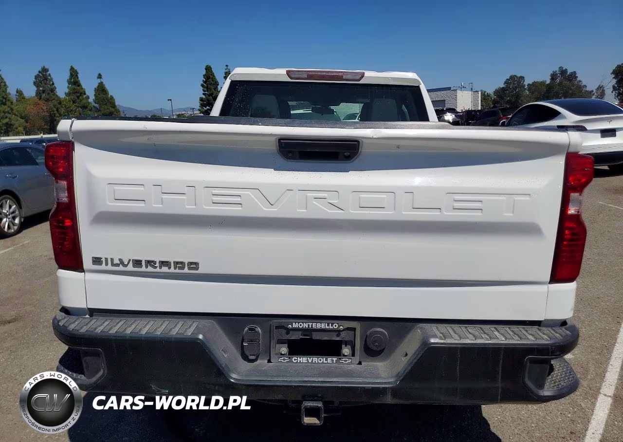 2020 Chevrolet Silverado C1500 VIN:1GCRWAEH6LZ261661 - 6
