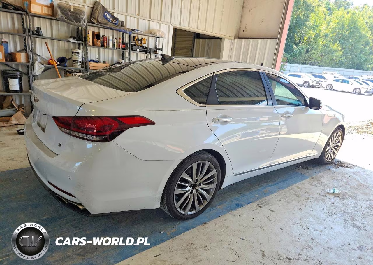 2015 Hyundai Genesis 5.0L VIN:KMHGN4JF5FU030747 - 3