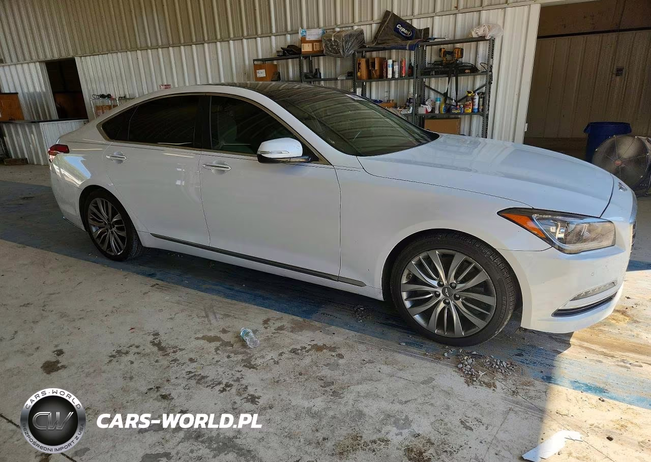 2015 Hyundai Genesis 5.0L VIN:KMHGN4JF5FU030747 - 4