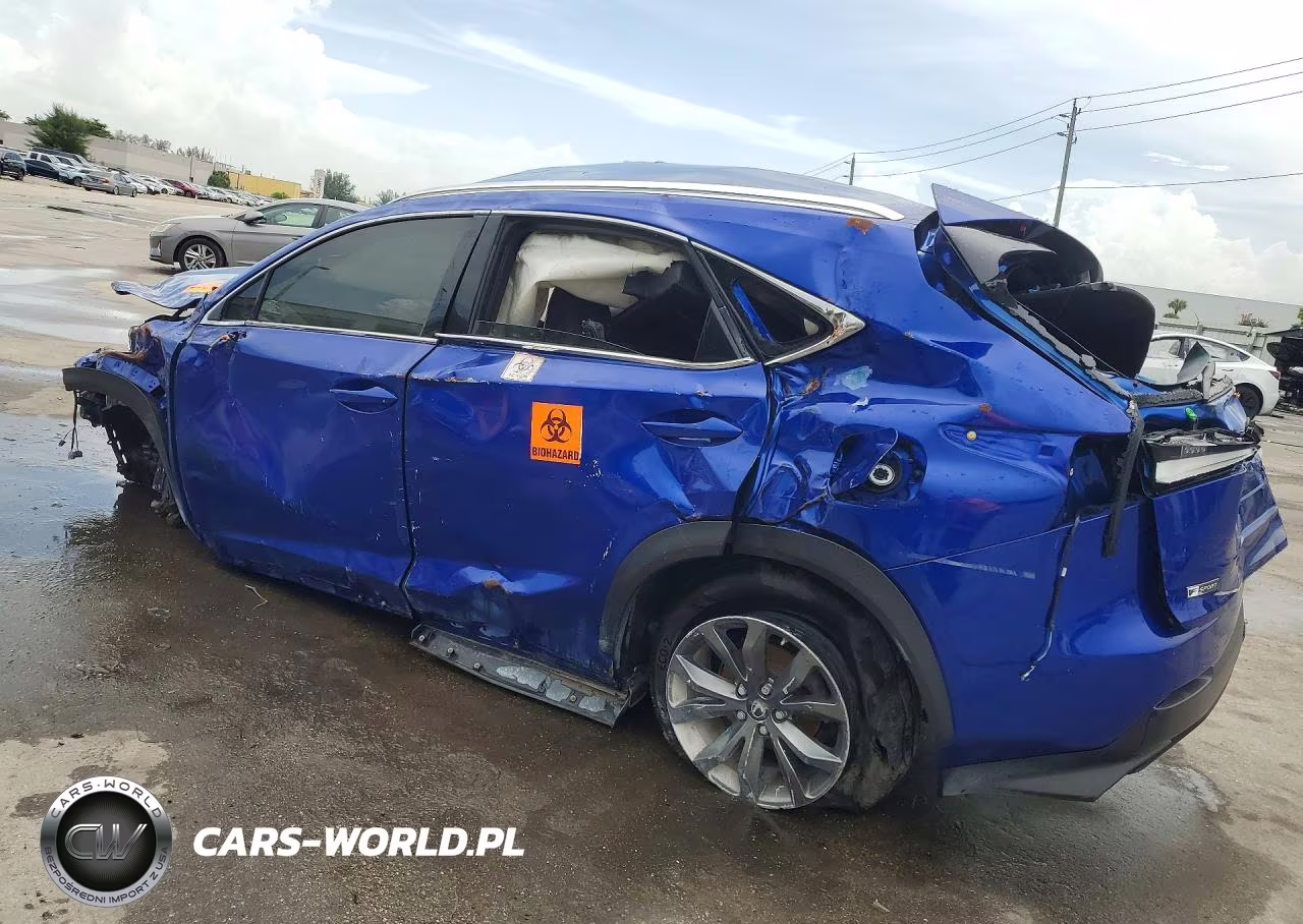 2021 Lexus Nx 300 Base VIN:JTJSARBZ3M2193161 - 2