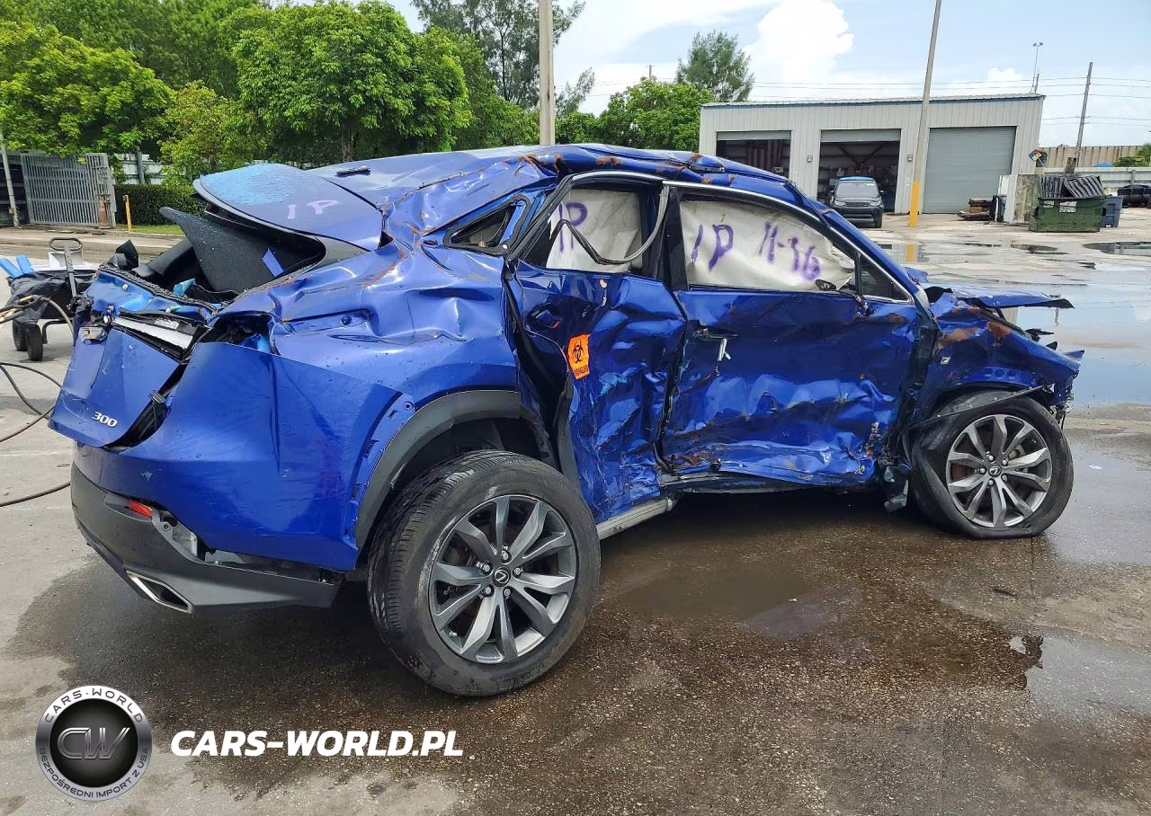 2021 Lexus Nx 300 Base VIN:JTJSARBZ3M2193161 - 3