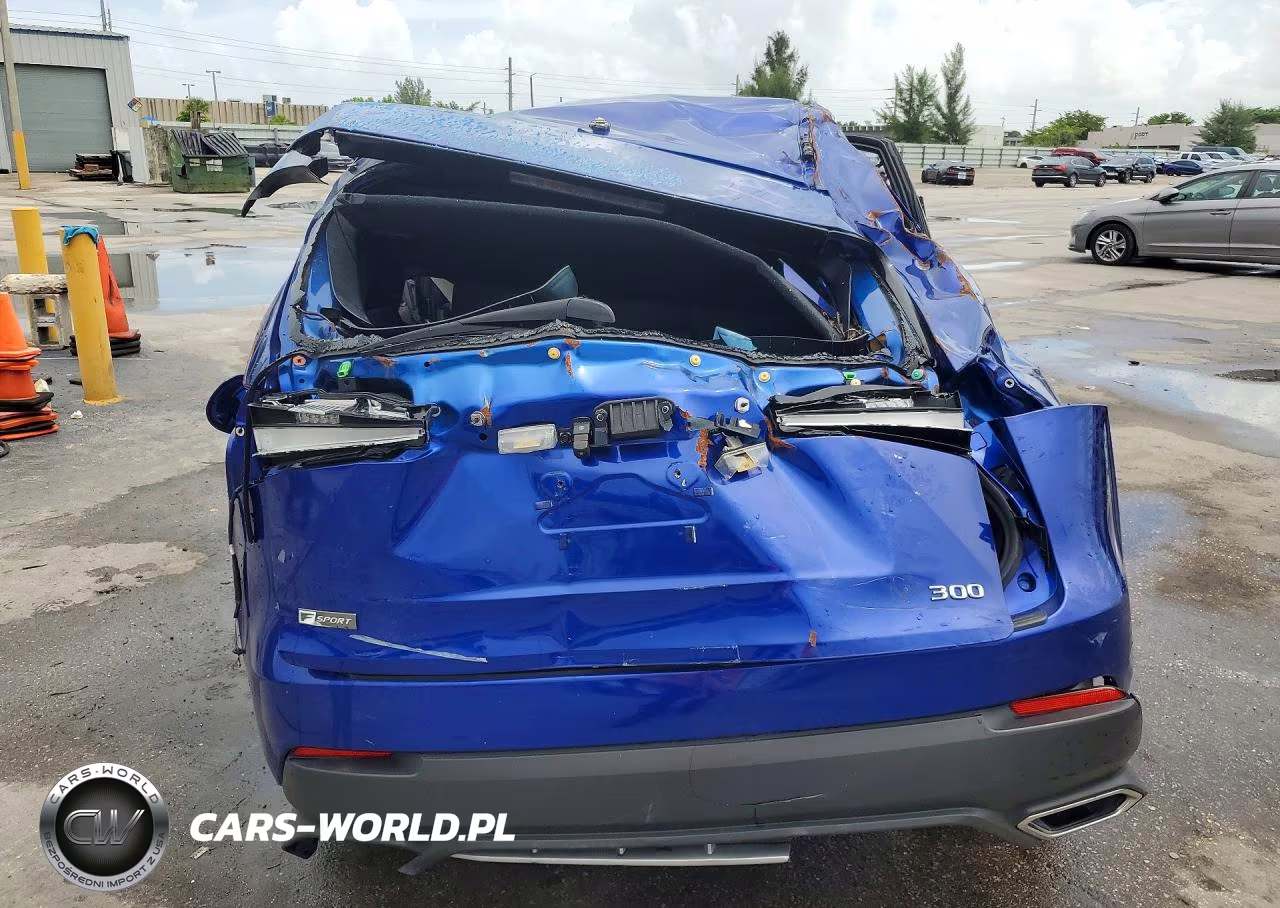 2021 Lexus Nx 300 Base VIN:JTJSARBZ3M2193161 - 6