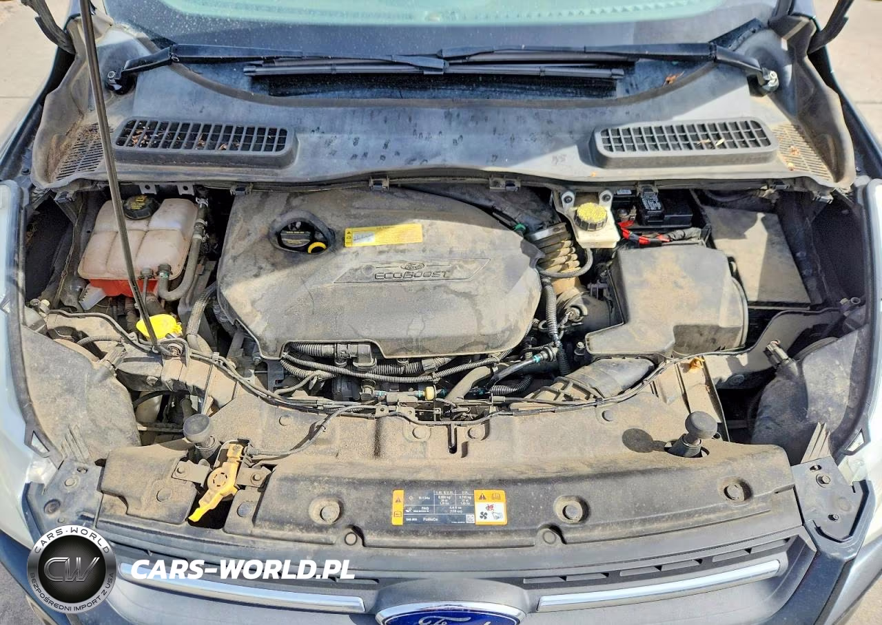 2014 Ford Escape Se VIN:1FMCU9GX7EUA13459 - 12