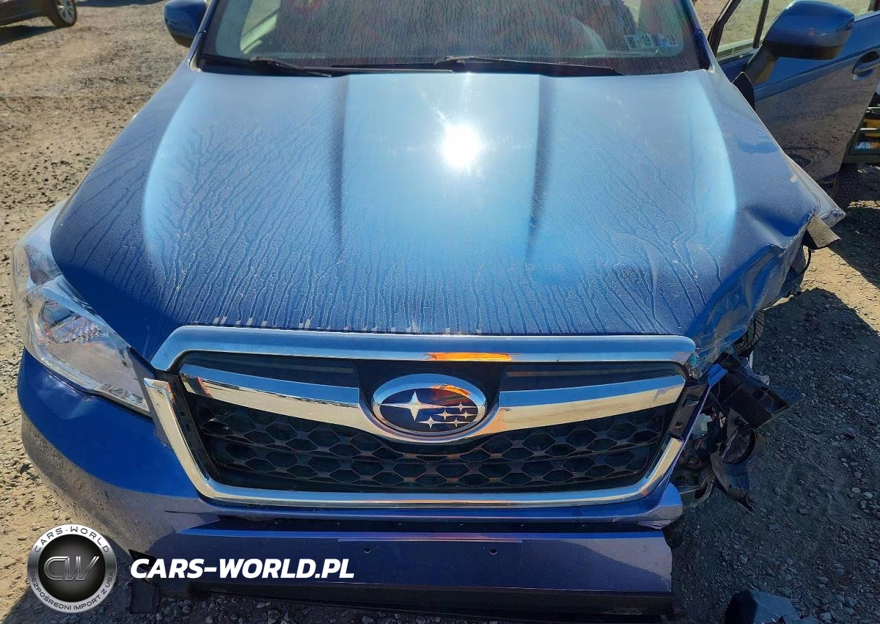 2016 Subaru Forester 2.5I Limited VIN:JF2SJAHC4GH502839 - 12