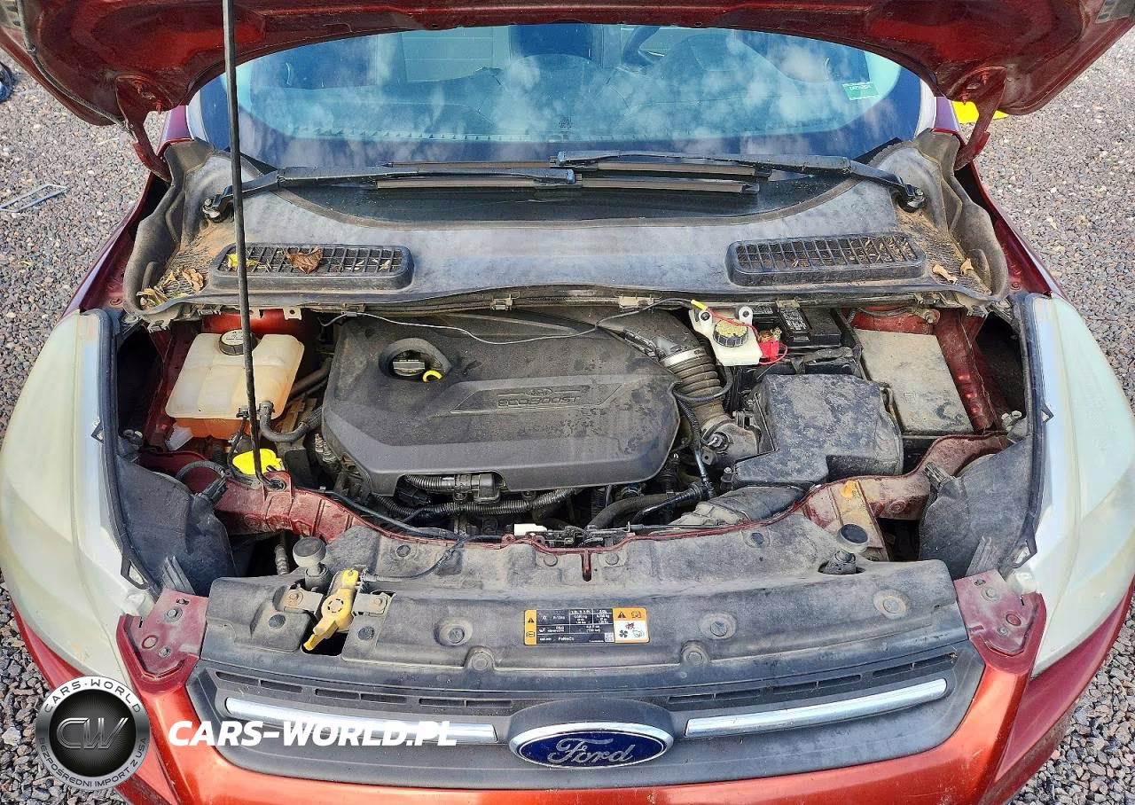2014 Ford Escape Se VIN:1FMCU0GX0EUD37266 - 12