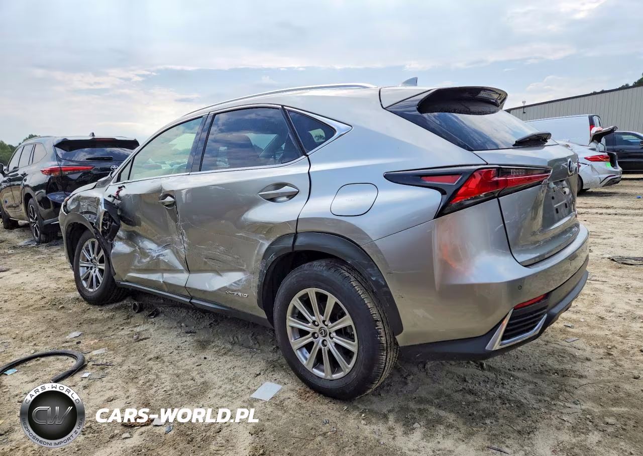 2021 Lexus Nx 300H Base VIN:JTJDJRDZXM2168005 - 2
