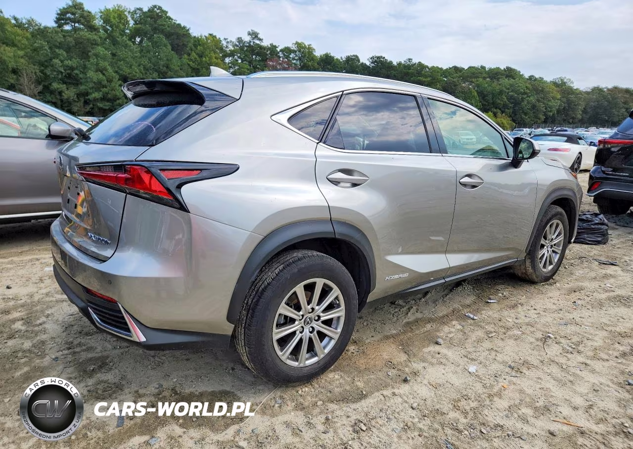 2021 Lexus Nx 300H Base VIN:JTJDJRDZXM2168005 - 3