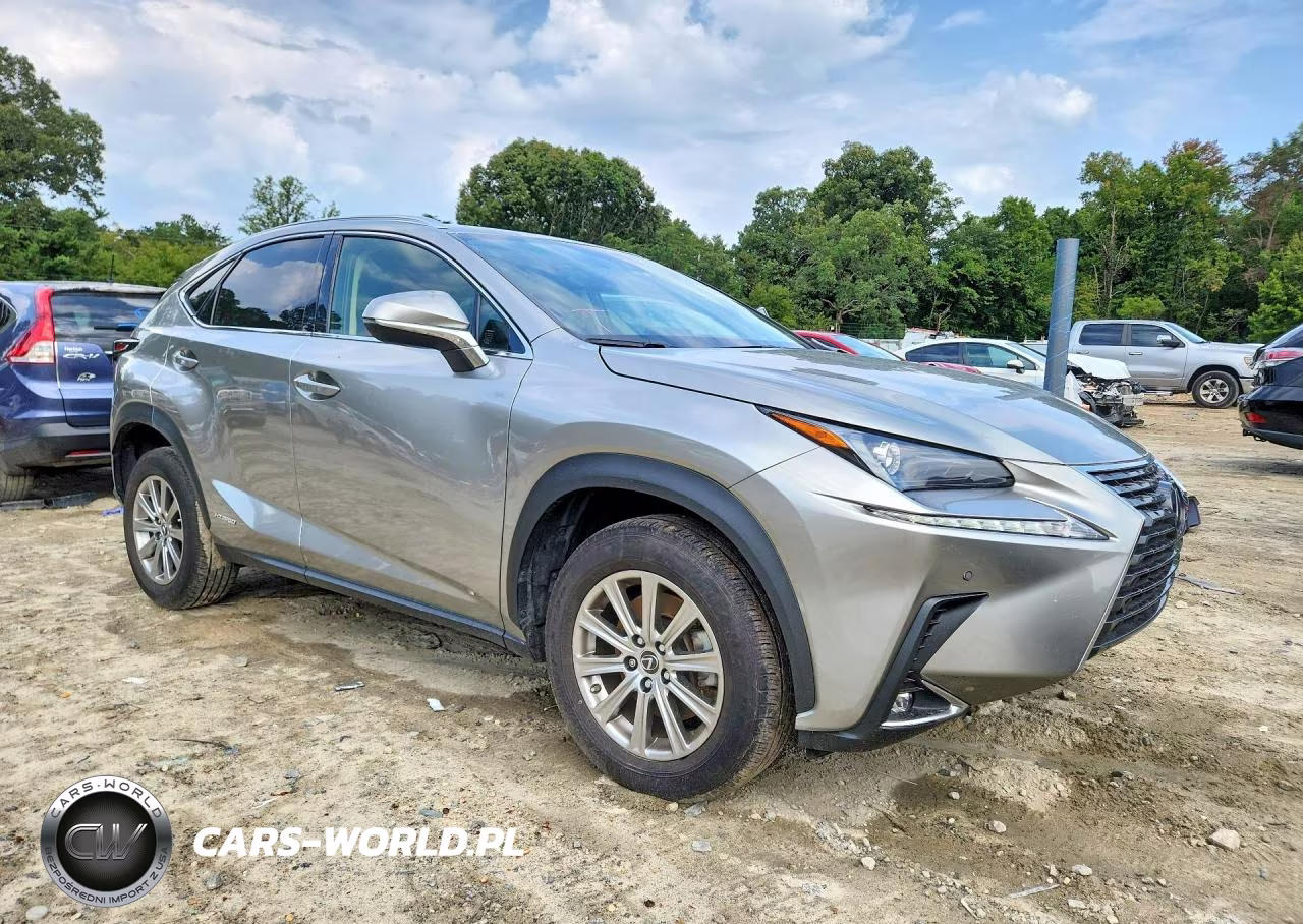 2021 Lexus Nx 300H Base VIN:JTJDJRDZXM2168005 - 4