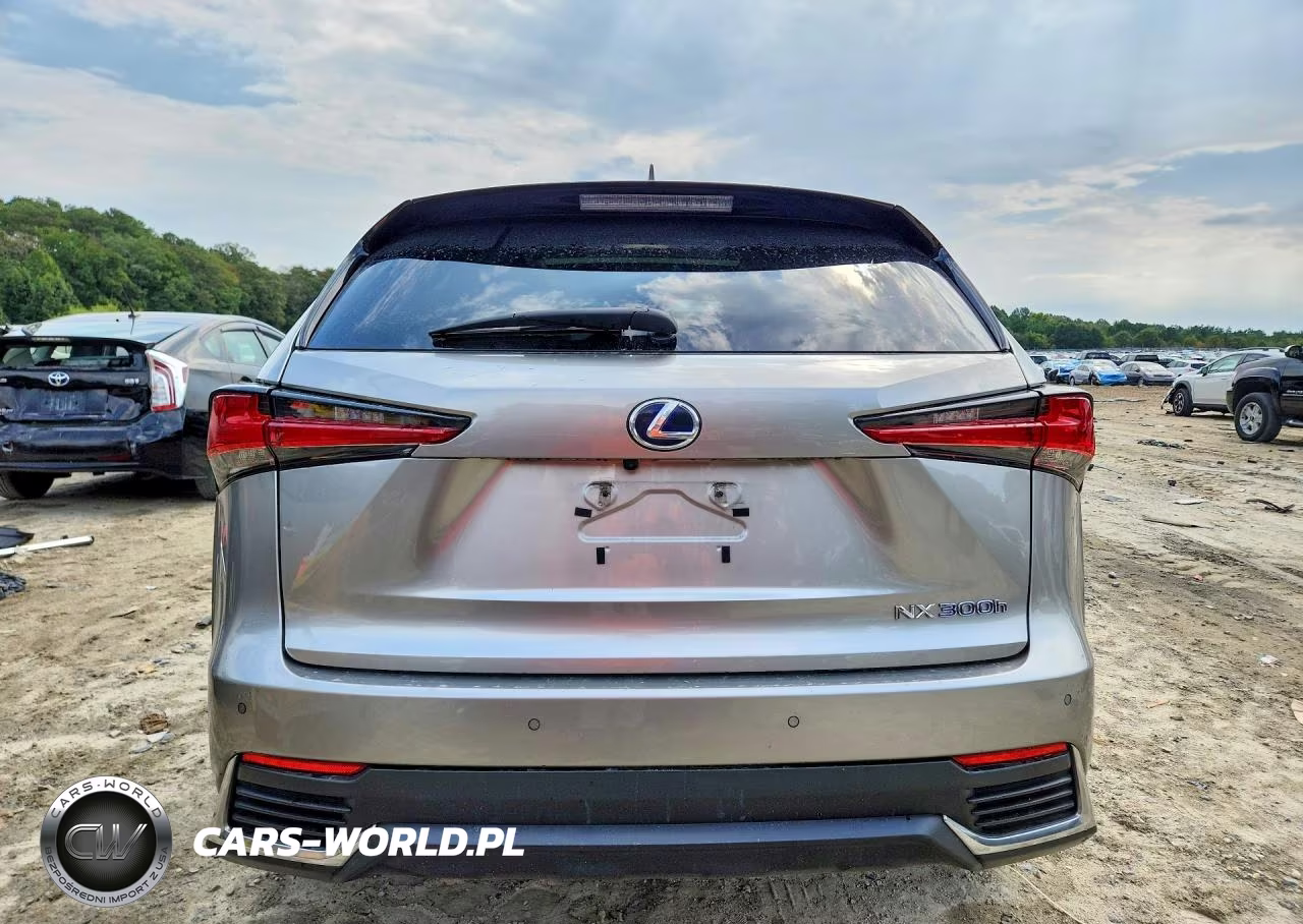 2021 Lexus Nx 300H Base VIN:JTJDJRDZXM2168005 - 6