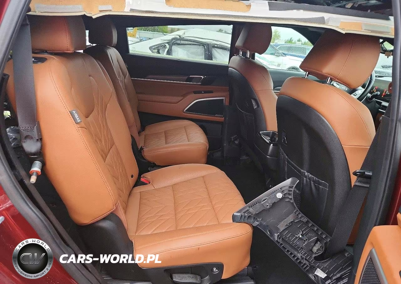 2023 Kia Telluride Ex X-Line VIN:5XYP3DGC9PG363432 - 11
