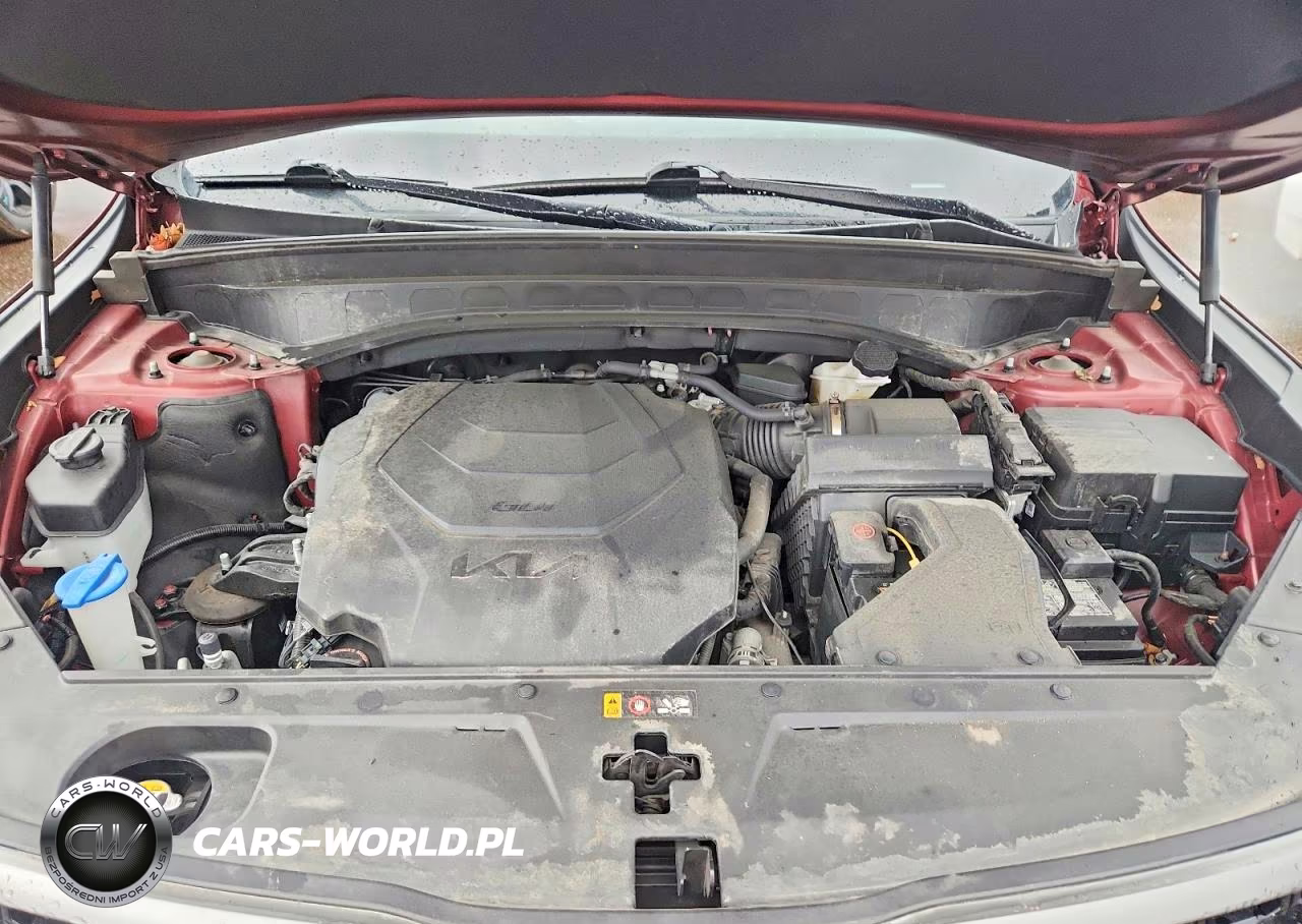 2023 Kia Telluride Ex X-Line VIN:5XYP3DGC9PG363432 - 12