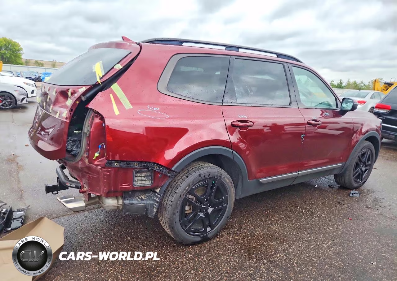 2023 Kia Telluride Ex X-Line VIN:5XYP3DGC9PG363432 - 3