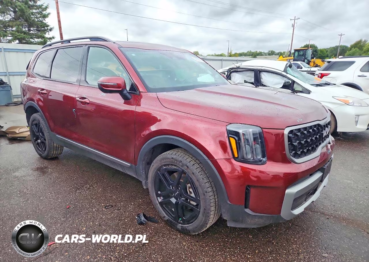2023 Kia Telluride Ex X-Line VIN:5XYP3DGC9PG363432 - 4