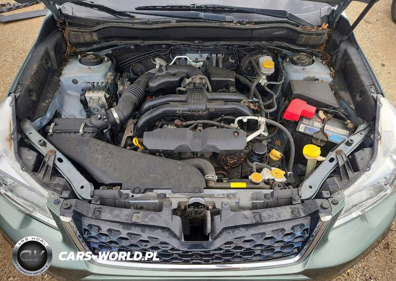 2016 Subaru Forester 2.5I Premium VIN:JF2SJADCXGH413217 - 11