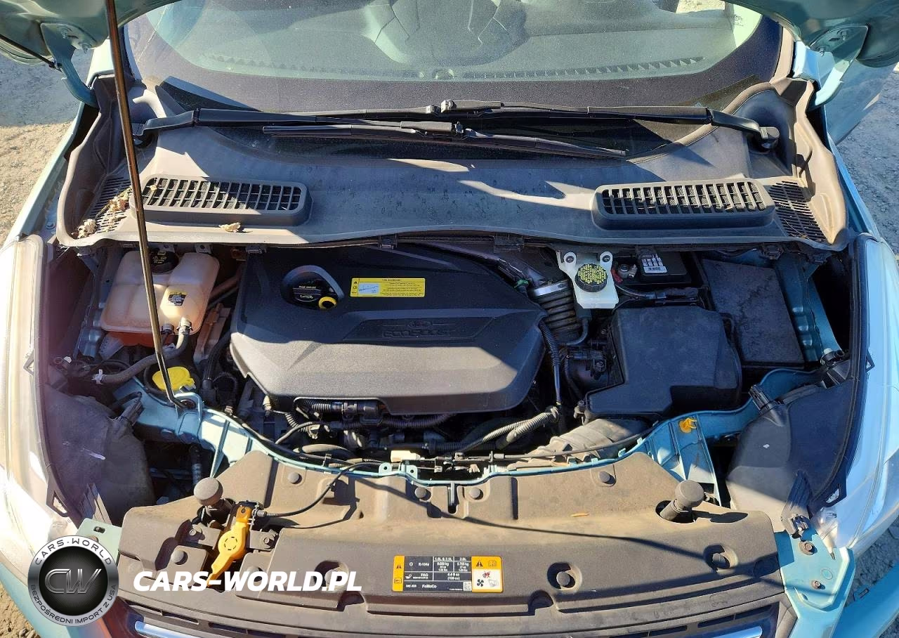 2013 Ford Escape Se VIN:1FMCU0GX6DUB31531 - 12