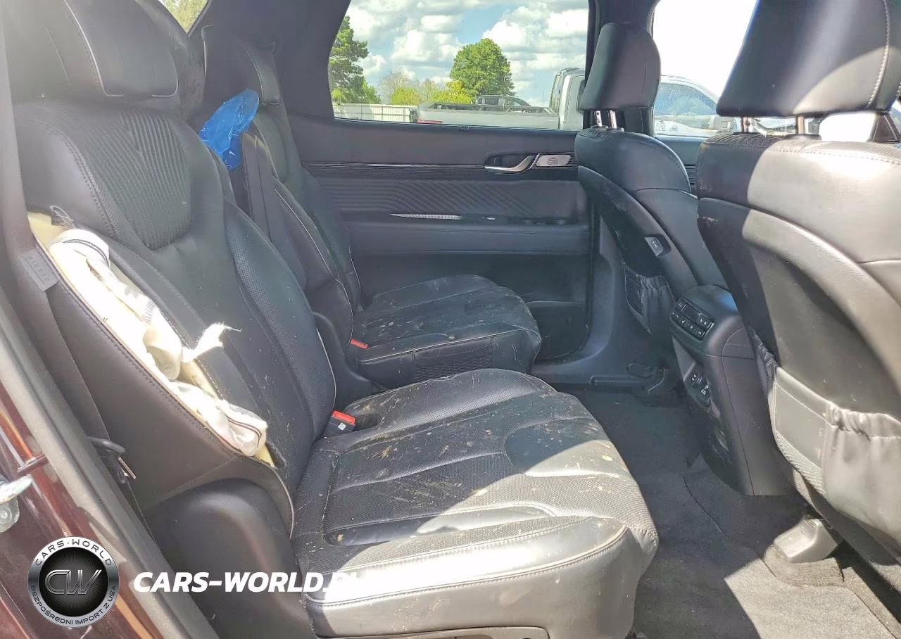 2024 Hyundai Palisade Calligraphy VIN:KM8R7DGE6RU651551 - 11