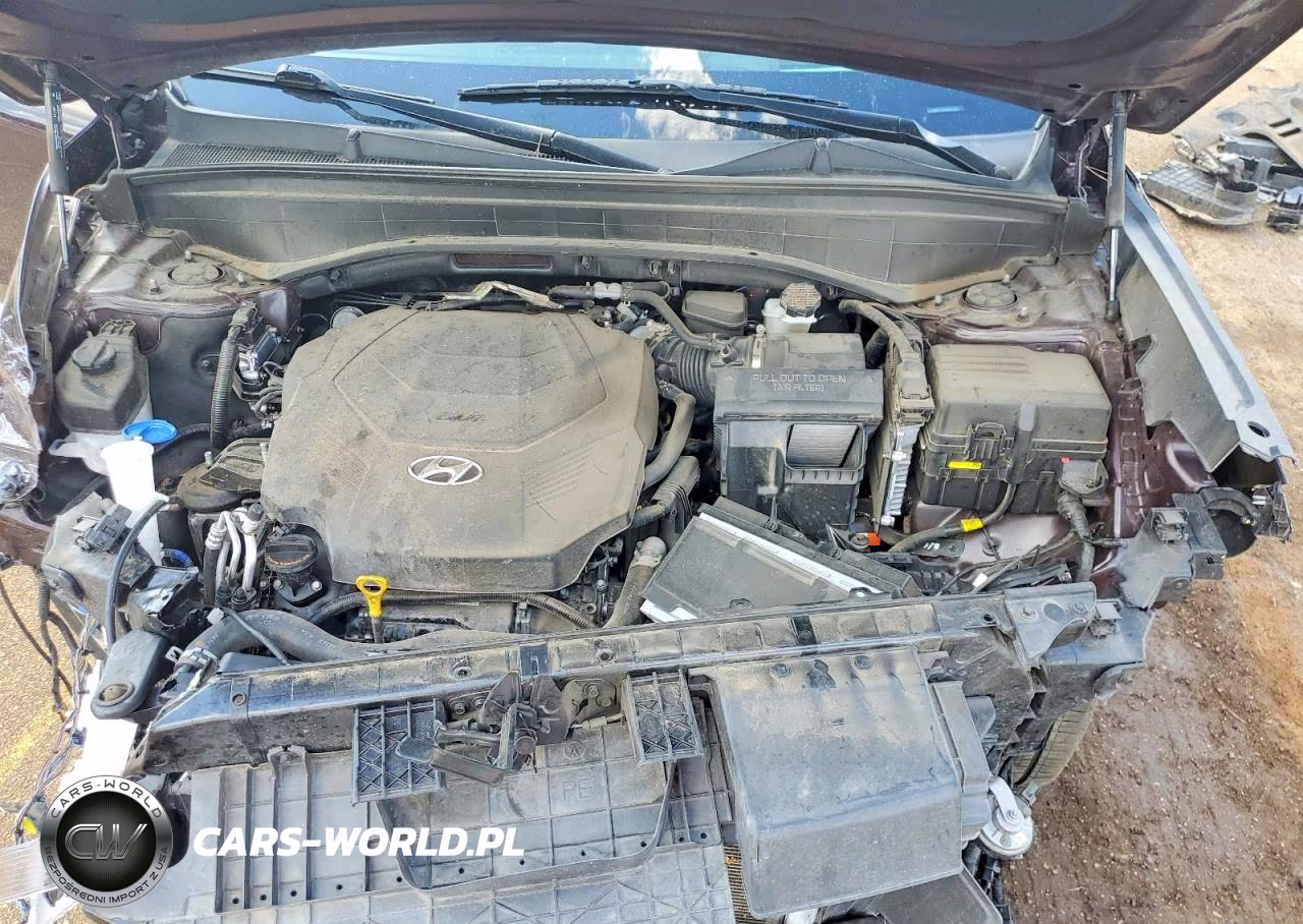 2024 Hyundai Palisade Calligraphy VIN:KM8R7DGE6RU651551 - 12