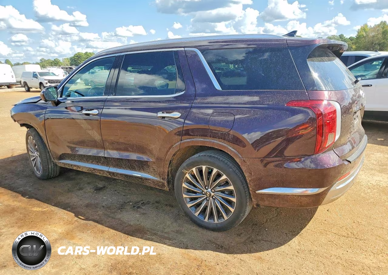 2024 Hyundai Palisade Calligraphy VIN:KM8R7DGE6RU651551 - 2