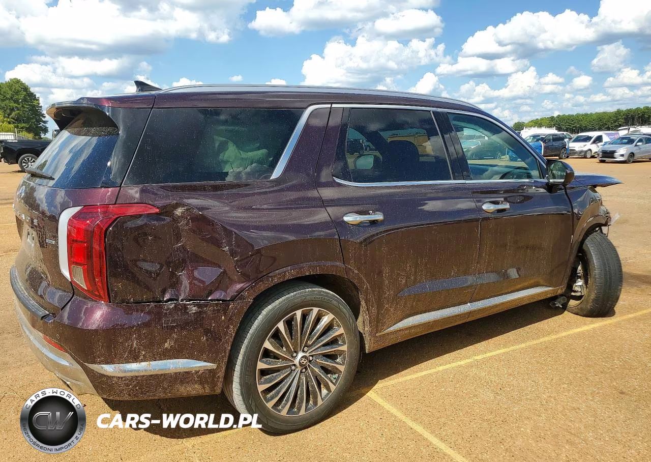 2024 Hyundai Palisade Calligraphy VIN:KM8R7DGE6RU651551 - 3