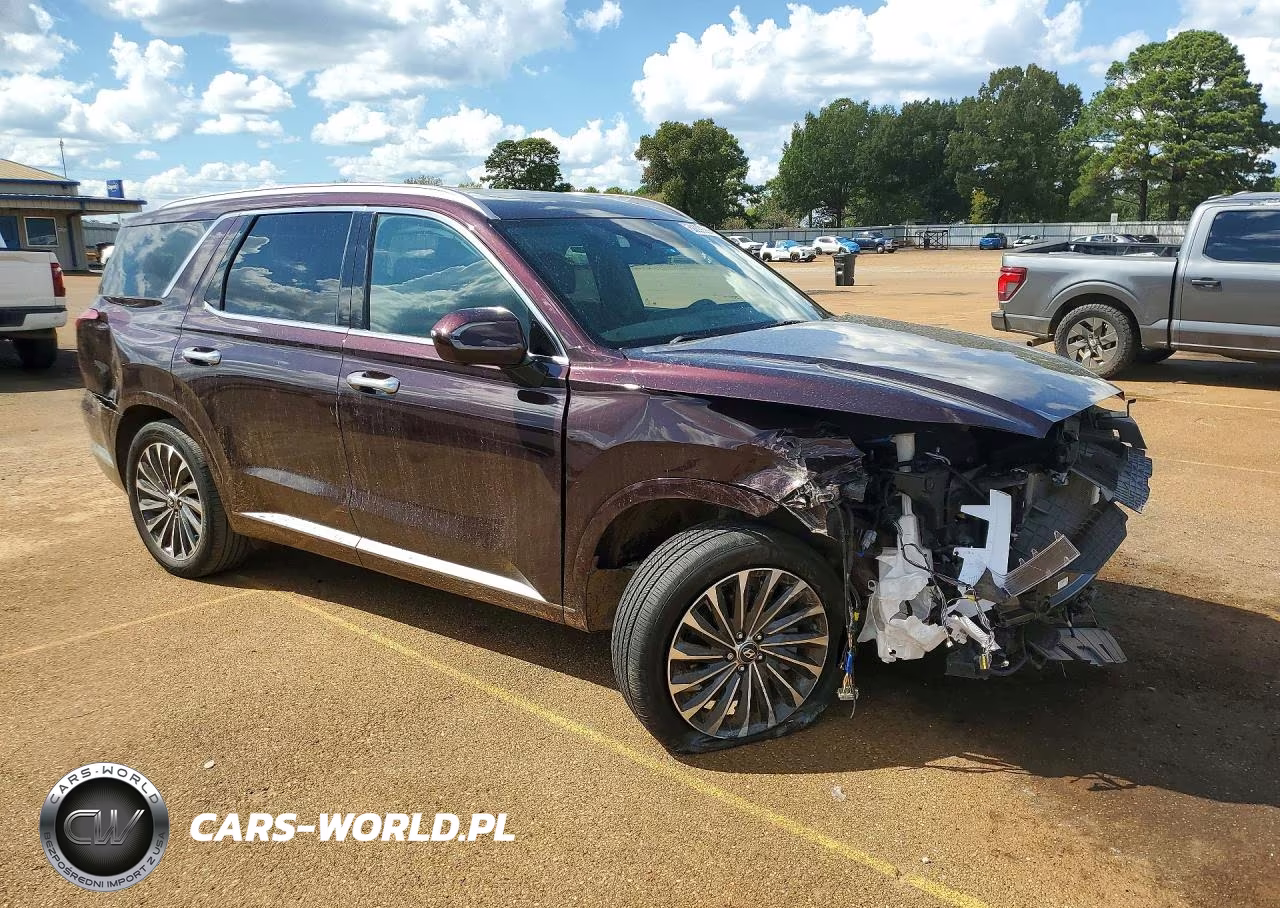 2024 Hyundai Palisade Calligraphy VIN:KM8R7DGE6RU651551 - 4