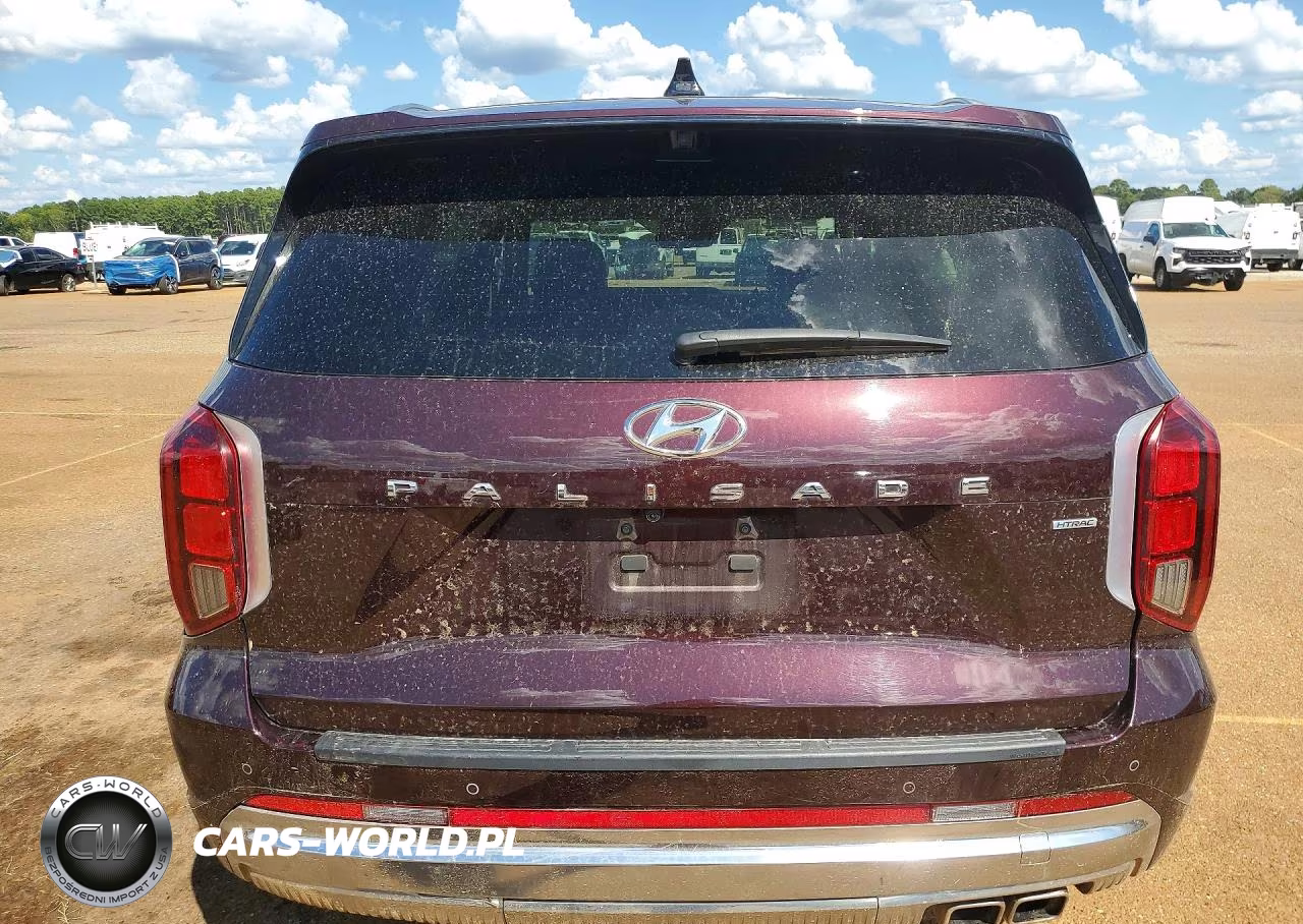 2024 Hyundai Palisade Calligraphy VIN:KM8R7DGE6RU651551 - 6