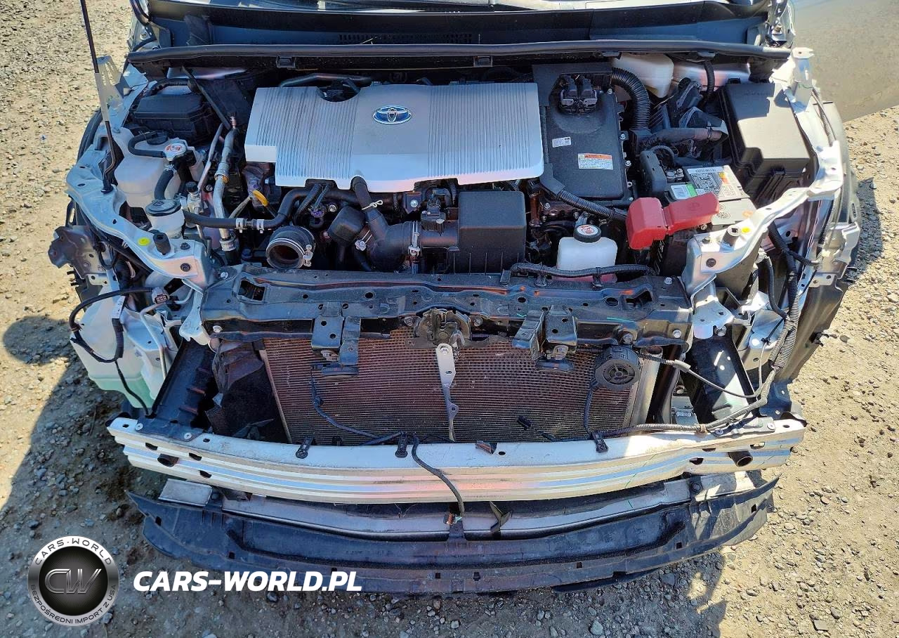 TOYOTA PRIUS NIGH VIN:JTDKAMFU5N3169248 - 11