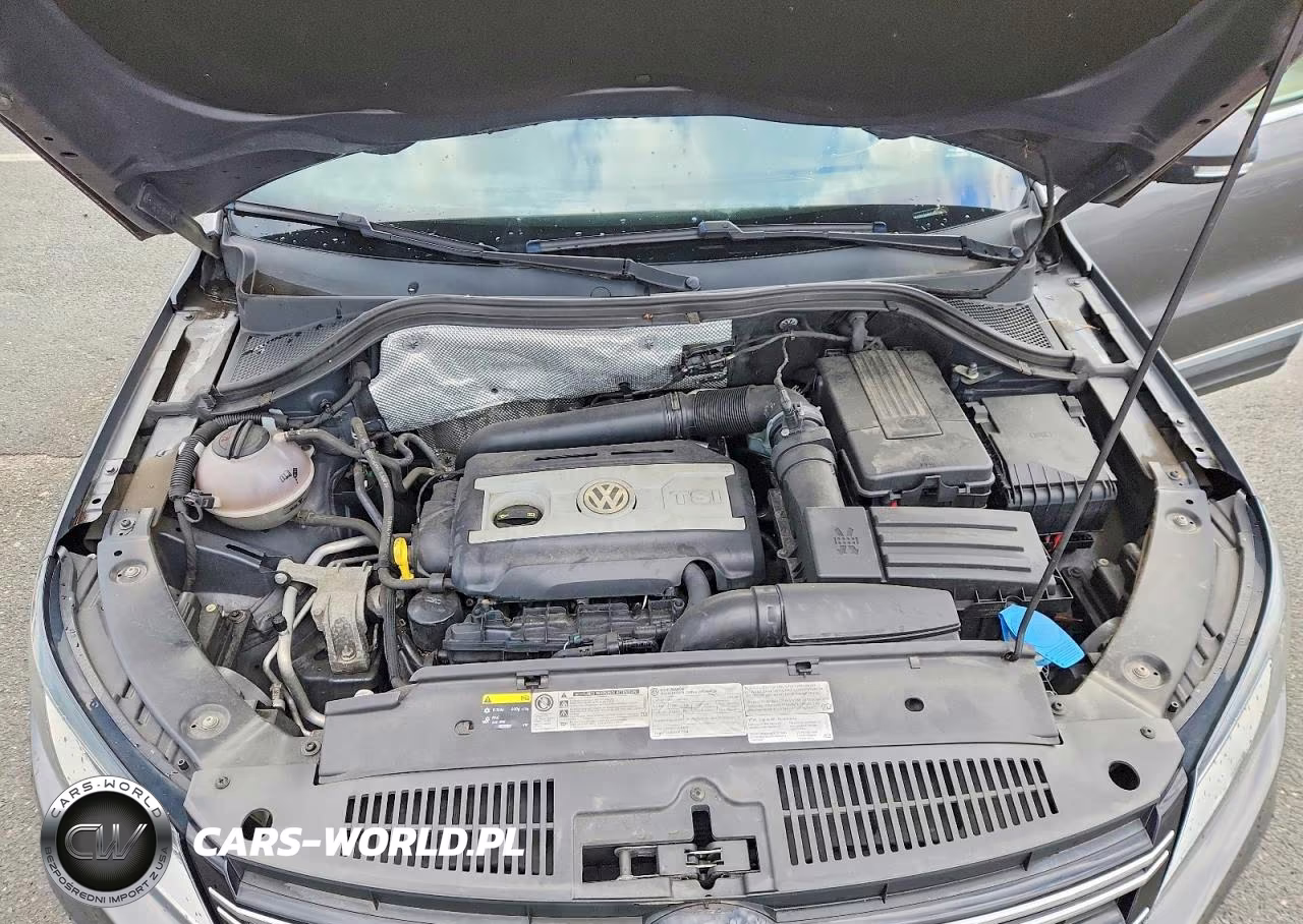 2014 Volkswagen Tiguan S VIN:WVGBV3AXXEW548336 - 12